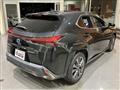 2021 Lexus Other