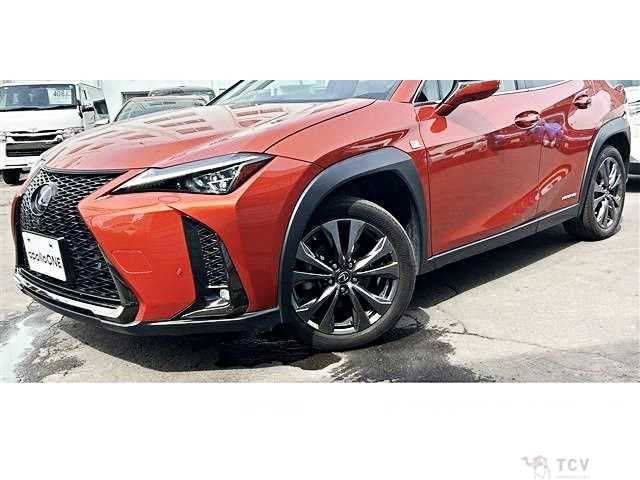 2021 Lexus Other