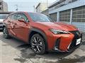 2021 Lexus Other