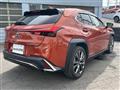 2021 Lexus Other