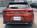 2021 Lexus Other
