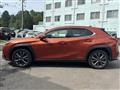 2021 Lexus Other