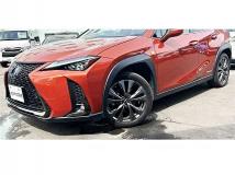2021 Lexus Other