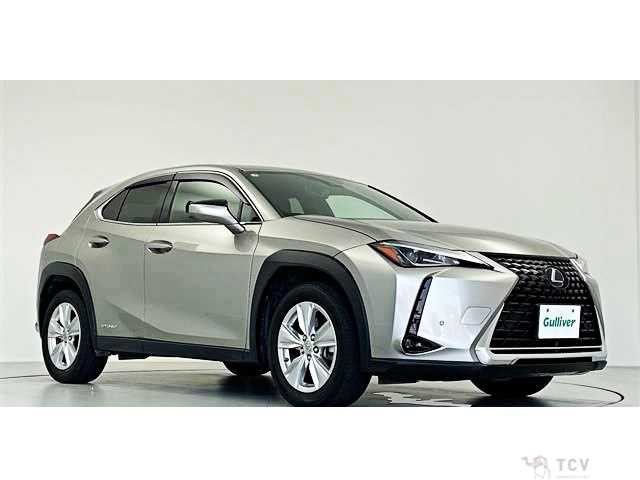2021 Lexus Other