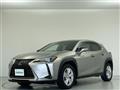 2021 Lexus Other