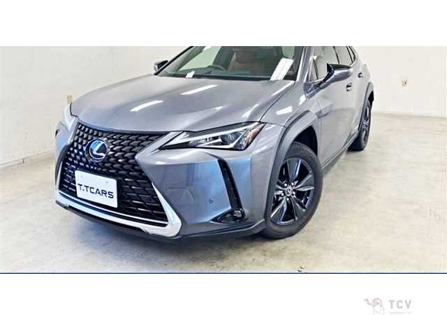 2021 Lexus Other