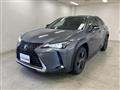 2021 Lexus Other