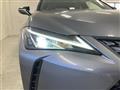 2021 Lexus Other
