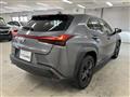 2021 Lexus Other