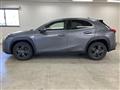 2021 Lexus Other