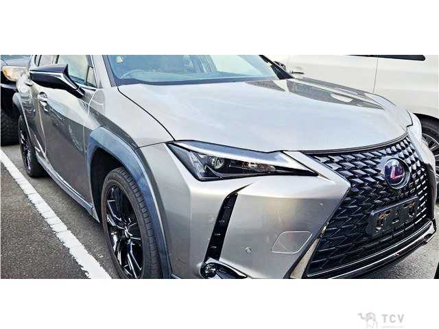 2021 Lexus Other