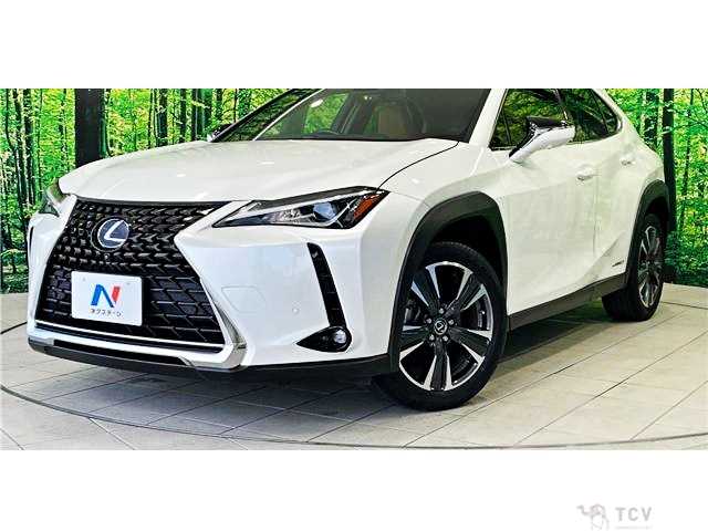 2021 Lexus Other
