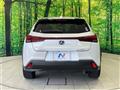 2021 Lexus Other