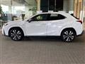 2021 Lexus Other