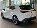2021 Lexus Other