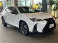 2021 Lexus Other