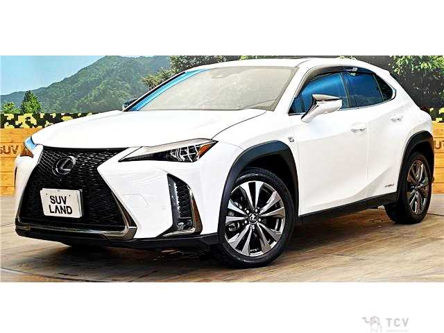 2021 Lexus Other