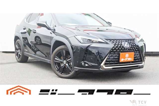 2021 Lexus Other