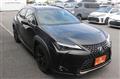 2021 Lexus Other