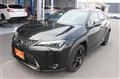 2021 Lexus Other