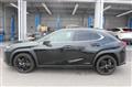 2021 Lexus Other