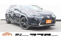 2021 Lexus Other