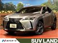 2021 Lexus Other