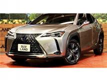 2021 Lexus Other