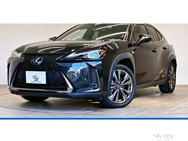 2021 Lexus Other