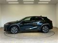 2021 Lexus Other