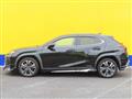 2021 Lexus Other