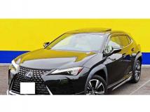 2021 Lexus Other
