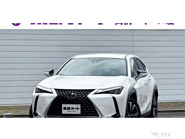 2021 Lexus Other