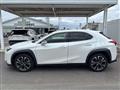 2021 Lexus Other
