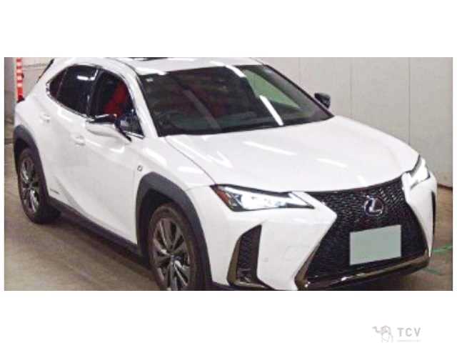 2021 Lexus Other