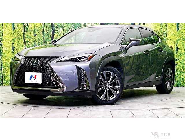2021 Lexus Other