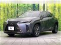 2021 Lexus Other