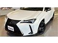 2021 Lexus Other
