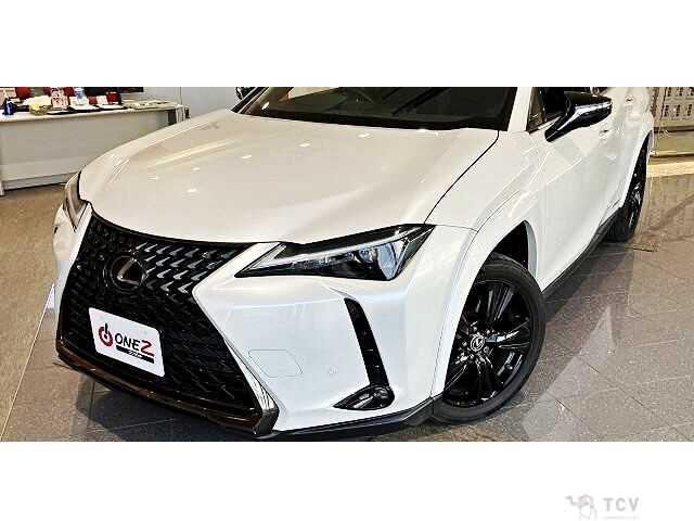 2021 Lexus Other