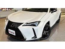 2021 Lexus Other