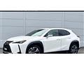 2021 Lexus Other