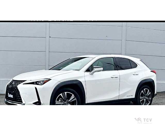 2021 Lexus Other