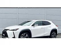 2021 Lexus Other