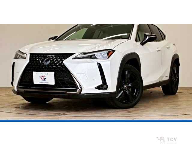 2021 Lexus Other