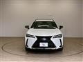 2021 Lexus Other