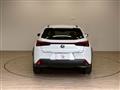 2021 Lexus Other