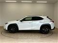 2021 Lexus Other