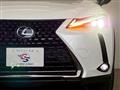 2021 Lexus Other