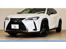 2021 Lexus Other