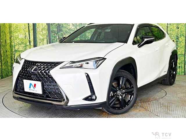 2021 Lexus Other